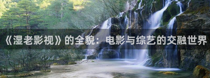 金牌影院电视剧免费播放：《湿老影视》的全貌：电影与综艺的交融世界