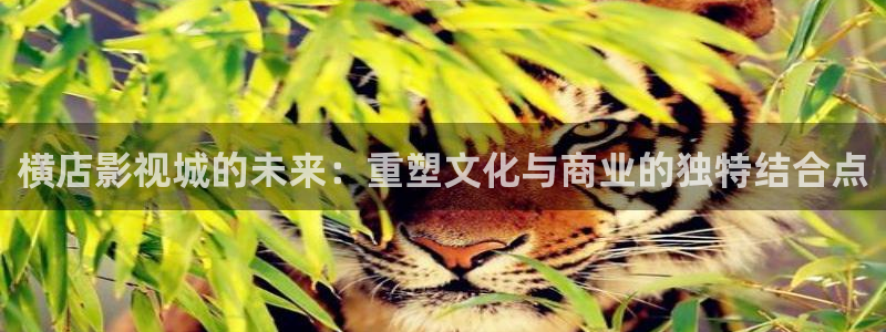 现在就出发第二季免费观看完整版金牌影院：横店影视城的未来：重塑文化与商业的独特结合点