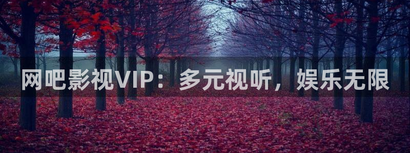 金牌影视网：网吧影视VIP：多元视听，娱乐无限