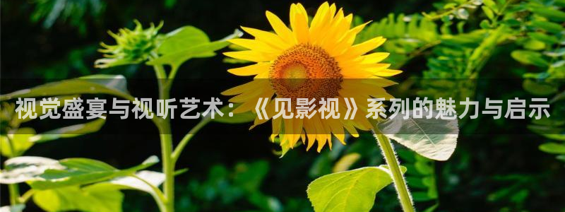 金牌视频：视觉盛宴与视听艺术：《见影视》系列的魅力与启示
