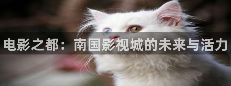 金牌影院ios怎么下载到手机：电影之都：南国影视城的未来与活力