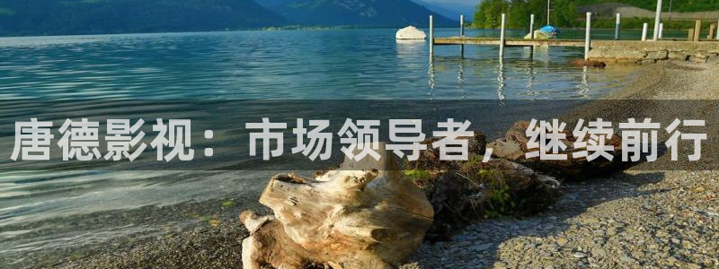 现在就出发第二季免费观看完整版金牌影院：唐德影视：市场领导者，继续前行