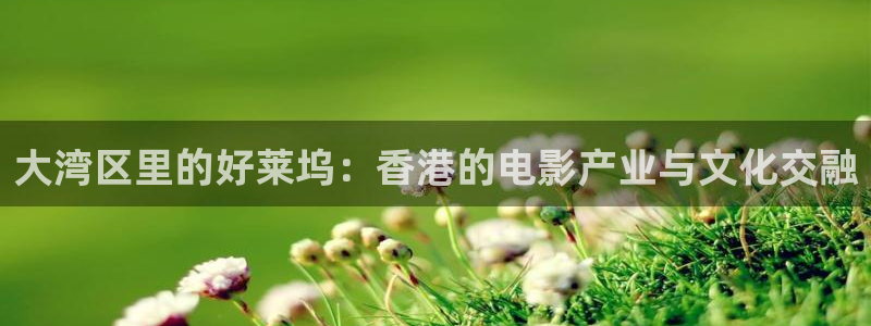 金牌影视电视剧在线观看：大湾区里的好莱坞：香港的电影产业与文化交融