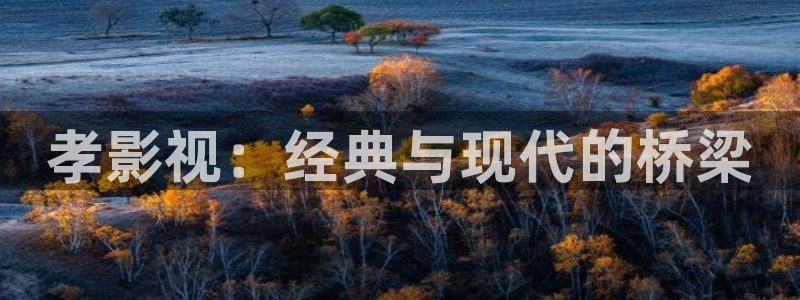 金牌影院在线观看全集免费播放：孝影视：经典与现代的桥梁